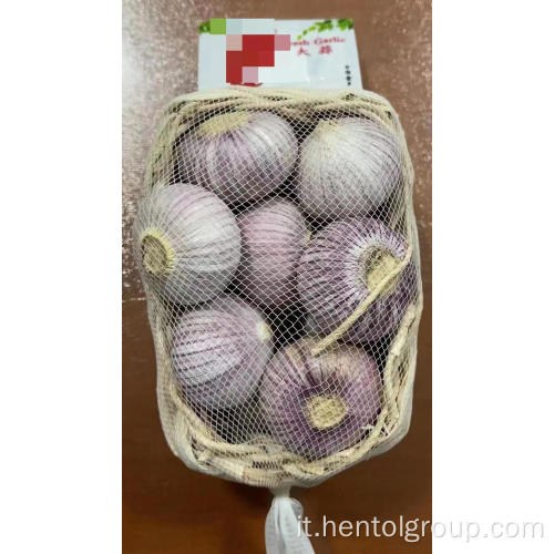 Aglio a buccia viola di alta qualità
